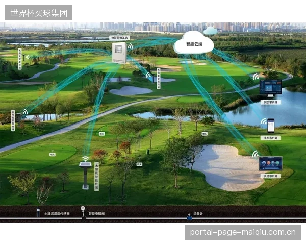 2028年，按需订阅的地下水位分析与灌溉优化建议服务将涌现，改变现有LoRaWAN系统的项目制销售模式